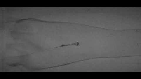 Aerobreakup of Newtonian and Viscoelastic Liquids: Figure 9a