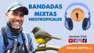Birding in Action: Bandadas Mixtas Neotropicales | Renzo Zeppilli | Birding Podcasts
