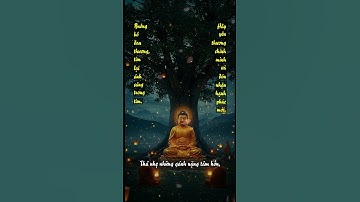 Buông bỏ nỗi đau chia ly - Lời dạy của Đức Phật