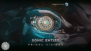 Sonic Entity & Aho - Primal Visions