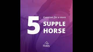 5 Exercises for a more SUPPLE HORSE screenshot 2