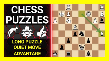 Chess Puzzles to Practice. Themes: Long puzzle, Quiet move, Advantage. Learn Chess