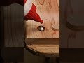 デカめの節を除去。丸棒で埋める / Remove and fill a knot. #woodworking #diy #tools