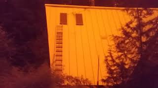 Orange Skies from the Bolt Creek Fire , Mass Evacuations by Cregg Lund 3,125 views 1 year ago 53 seconds