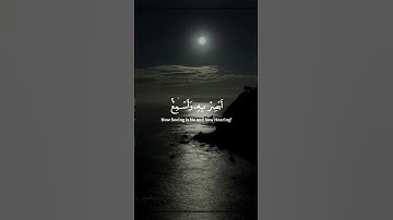 الشيخ ياسر الدوسري |  وَلَبِثُوا۟ فِی كَهۡفِهِمۡ ثَلَـٰثَ مِا۟ئَةࣲ سِنِینَ | سورة الكهف