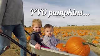 2018 Undley Pumpkin Patch & Maize Maze Tour