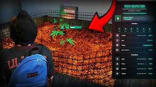 Vinny Gives Tuggz a Tour of His Weed Farm! | NoPixel RP | GTA RP | CG