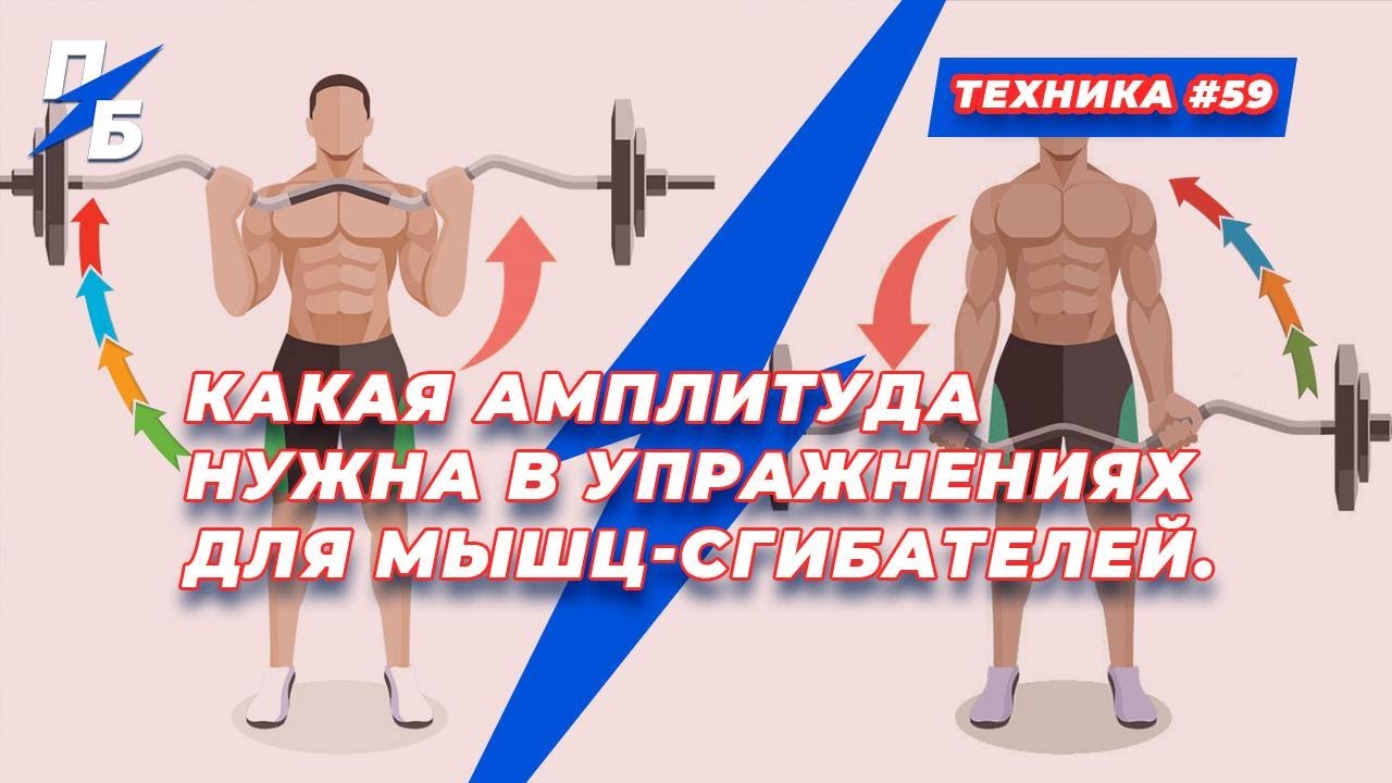 Какая амплитуда нужна в упражнениях для мышц-сгибателей. Техника #59