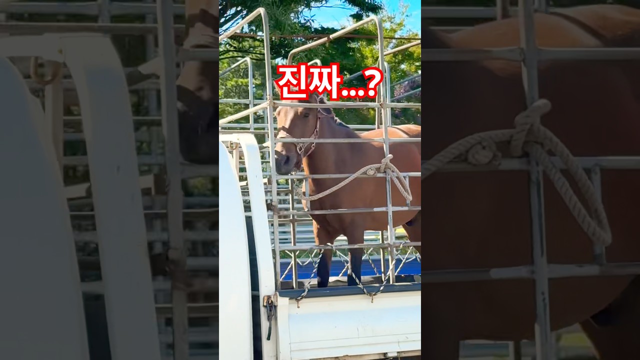 나는 행복합니다💖😂