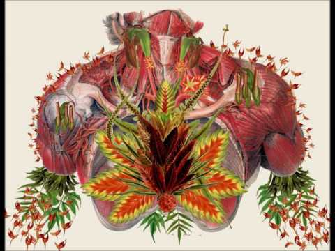 The Palms - All4You