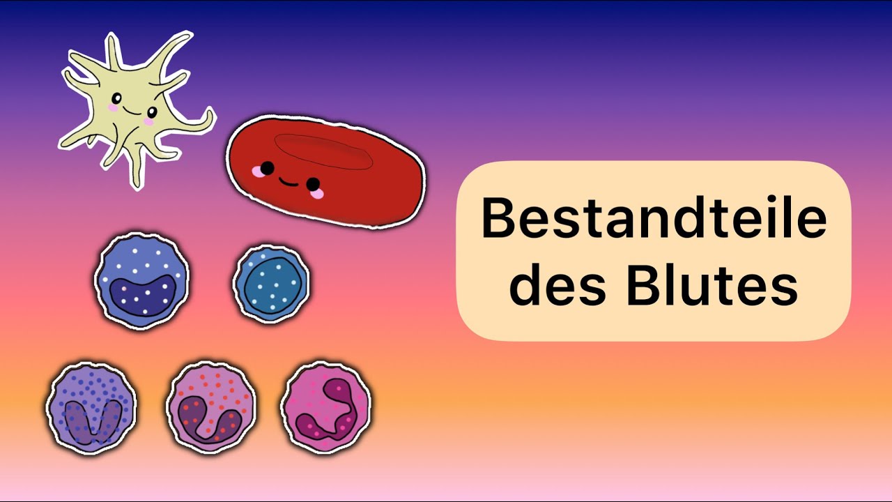 Bestandteile Des Blutes YouTube bestandteile-des-blutes-youtube