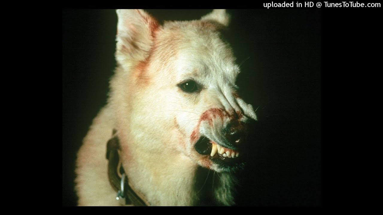 УННВ, Цинк Уродов [Russian underground product] - кислота