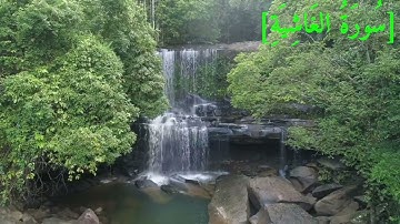 سُورَةُ الغَاشِيَةِ بصوت الشيخ عبد الرحمن بن موسى رواية ورش عن نافع تجويد رائع