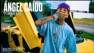 “Angel Caido”• Tornillo (Video Oficial) T1RAD3RA 🔥