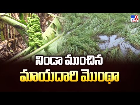 నిండా ముంచిన మాయదారి మొంథా | Cyclone Montha - TV9 - TV9