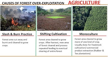 Natural Resources Forest for Environmental Science & Engineering , Competitive exams, IAS,UPSC