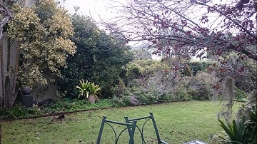 Review of the Paradox NV35M