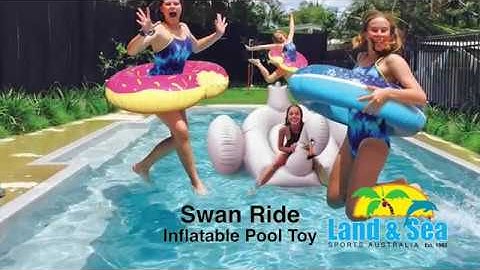 Swan Ride 1.5 metre Inflatable