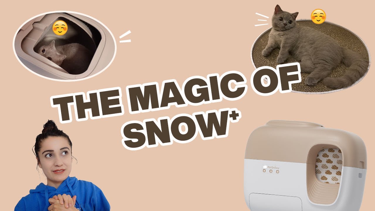 The Magic of PetSnowy SNOW⁺ SelfCleaning Litter Box! YouTube