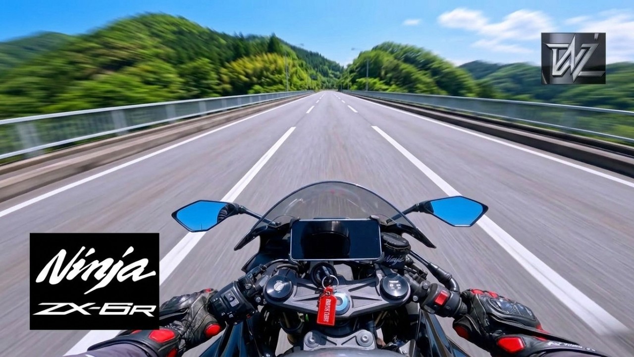 ZX-6R Pure Sound | 🇯🇵 Scenic Mountain Pass on Route 461 | Japan