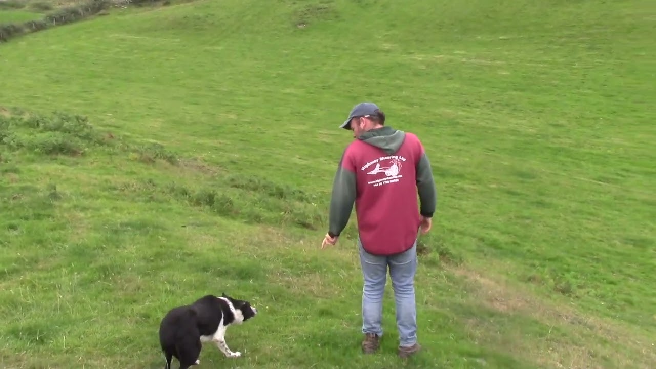 High Hills Sali Dolgellau