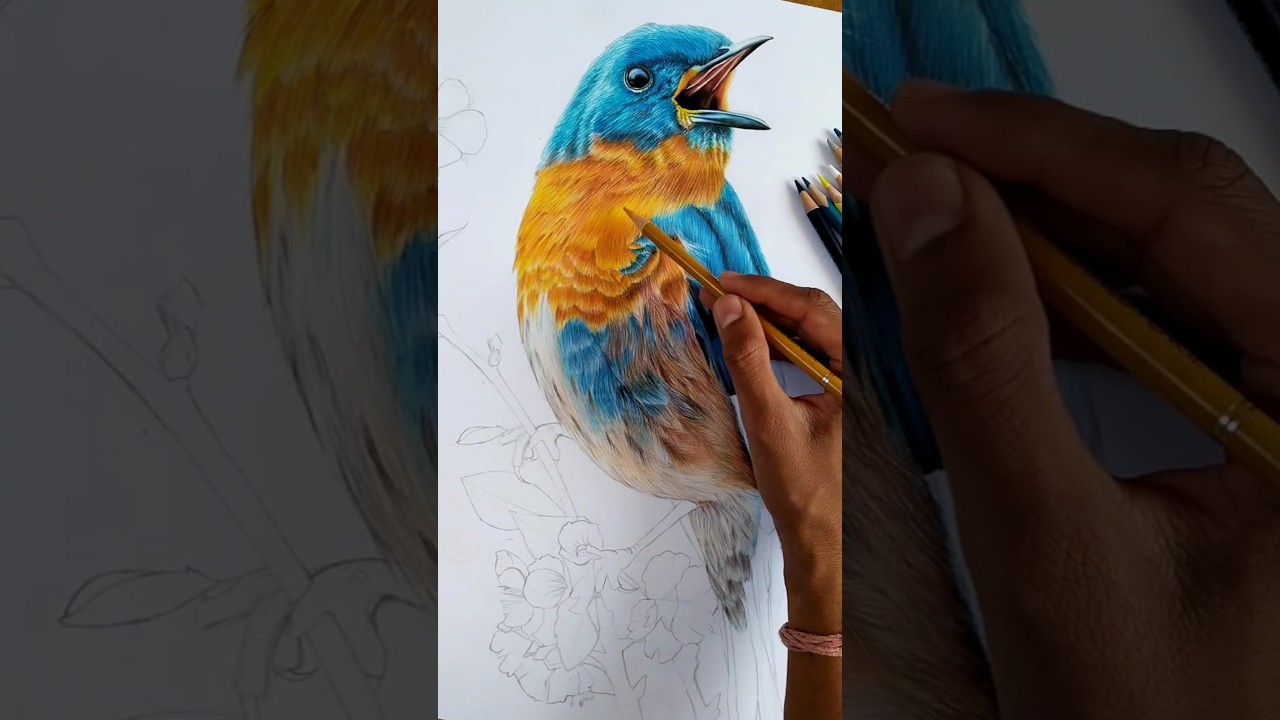 Beautiful Hyper Realistic Bird Drawing Shorts 🐦✨ 
