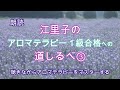 【アロマテラピー】江里子のアロマテラピー1級合格への道しるべ③～聴きながらアロマテラピーを記憶する～