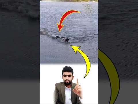 لا تغوص في مستنقع التماسيح فلولا لطف الله لما نجوت من فكي التمساح الذي كان يلاحقك  