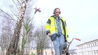 La mairie de Versailles n'utilise plus de pesticides pour l'entretien de ses espaces verts - 23/01