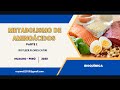 METABOLISMO DE AMINOÁCIDOS - PARTE 2