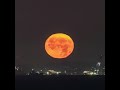 Fullmoonset