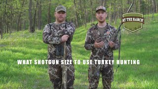 At the Ranch - Turkey: What Shotgun Size To Use