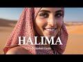 Halima oriental reggaeton moombahton type beat instrumental