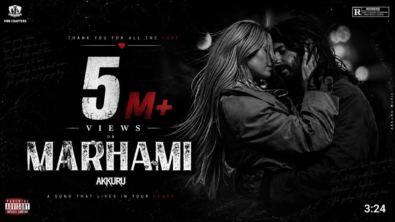 Marhami (Tu Jo Mile) | Vibe Chapters | Song Lyrics Translation