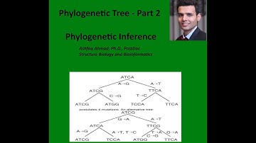 Understanding Algorithms Used in Phylogenetic Tree Construction -Part2-English