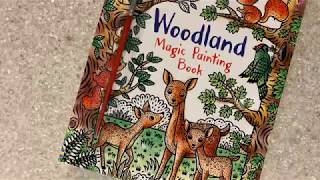 Woodland Magic Painting [Book]