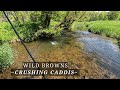 Fly fishing the wisconsin driftless during spring caddis season