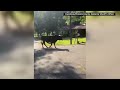 Runaway 1,500-pound bull leads Alabama deputies on wild neighborhood chase