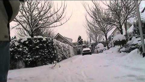 Multiplex Mentor op skies