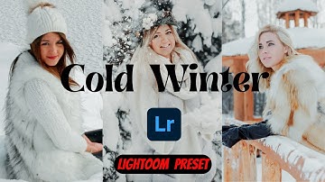 Cold Winter Preset/ Lightroom Preset/ Free Lightroom tutorial/ Moody Snow  Filter