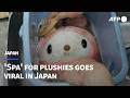 Japan cleaner goes viral with spa-like service for plushies | AFP