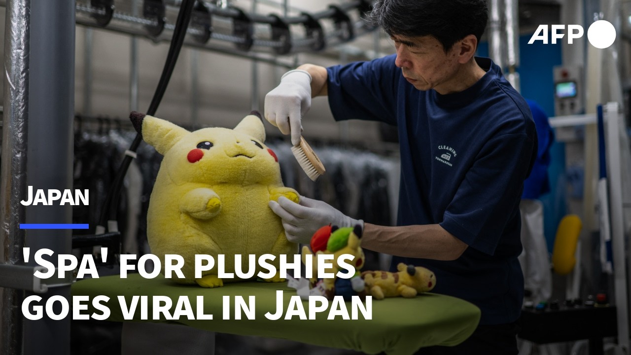 Serviço japonês de restauração e limpeza para pelúcias