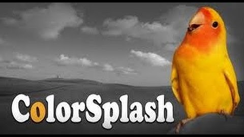 Color Splash iPhone iPad iPod Touch (iOS HD)