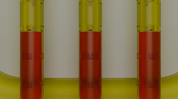 Microfluidic Chip with Liquid Flow