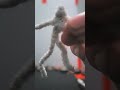 Final teaser