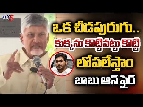 కుక్కను కొట్టినట్టు.. కొట్టి లోపలేస్తాం.. | CM Chandrababu STRONG Warning | Jagan | YSRCP | TV5 News - TV5NEWS