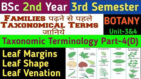 Leaf Margins//Leaf Shape/Leaf Venation//Types of Venation in Leaf//BSc 2nd Year 3rd Semester Botany