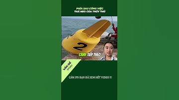 Những Giây Phút Cân Não Khi Thả Neo #cauchuyendangchuy #shortvideo