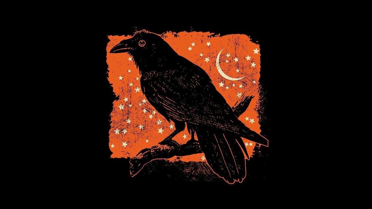 Sagittarius Ziriya Board Messages + Card Reading