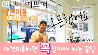 애견미용인테리어 완성 epilogue / interview 오픈할 때 꿀팁